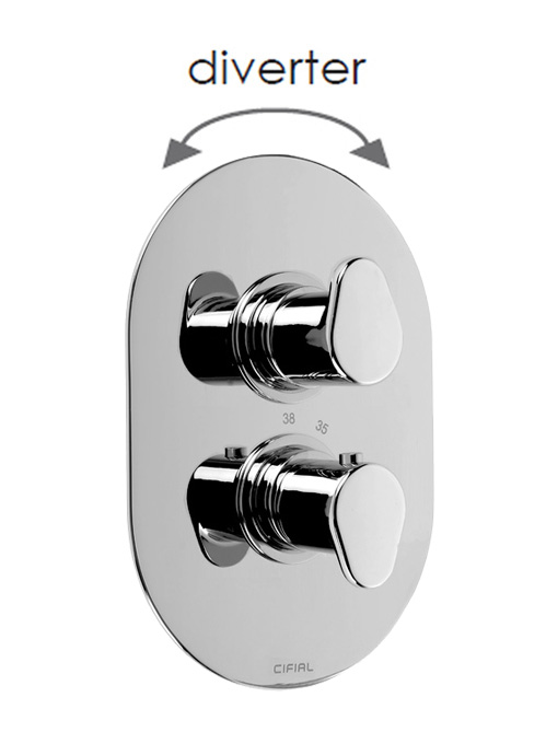 2 Control Thermostatic Valve With Diverter