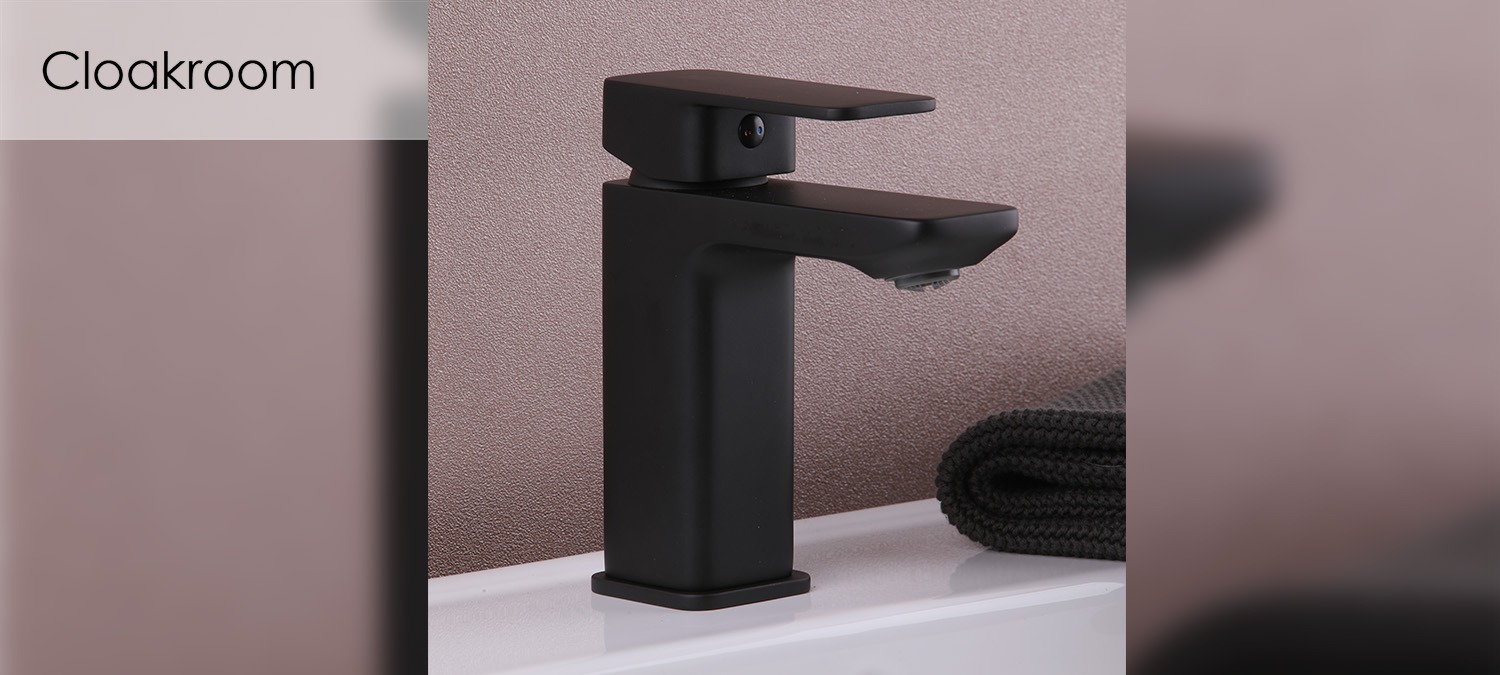 Cloakroom bathrooms 2